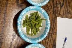 BEAN-PODS