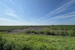 IMG_7348