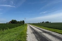 IMG_7350