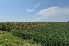 IMG_7248