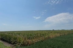 IMG_7250