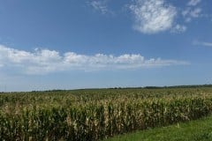 IMG_7254