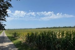 IMG_7255