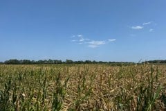 IMG_7256