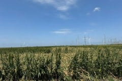 IMG_7260