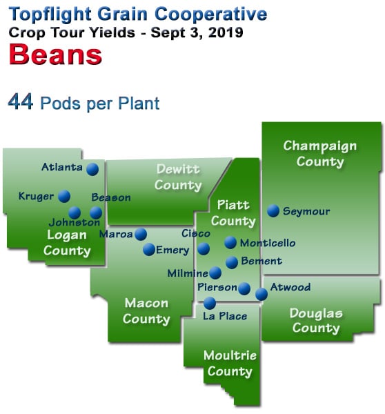 Crop Tour Soybean Yields, 2019